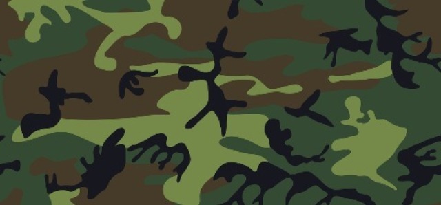 Military Transition Advice - Camouflage